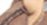 EXSB